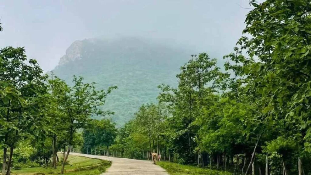 रहस्यमयी दलहा पहाड़ जहां नागपंचमी पर चमत्कारी कुंड का पानी पीने उमड़ते हैं लाखों श्रद्धालु : Dalha Pahad Akaltara Chhattisgarh