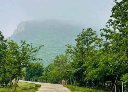 रहस्यमयी दलहा पहाड़ जहां नागपंचमी पर चमत्कारी कुंड का पानी पीने उमड़ते हैं लाखों श्रद्धालु : Dalha Pahad Akaltara Chhattisgarh