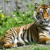 Kanger Ghati National Park Bastar Chhattisgarh की प्राकृतिक सुंदरता, जंगल और गुफाओं का दृश्य