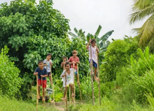 हरेली त्योहार क्यों बनाया जाता है : जाने हरेली त्योहार से जुड़ी कुछ खास बातें : Why is the Hareli festival celebrated?