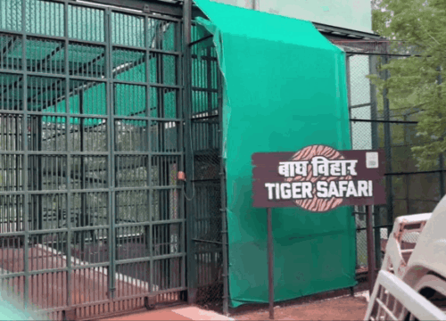 नंदनवन जंगल सफारी रायपुर छत्तीगढ़ : NandanVan Zoo Naya Raipur Chhattisgarh
