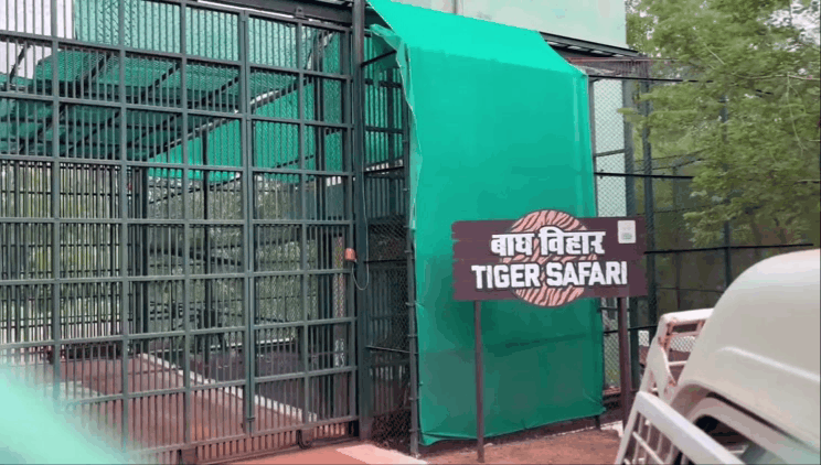 नंदनवन जंगल सफारी रायपुर छत्तीगढ़ : NandanVan Zoo Naya Raipur Chhattisgarh